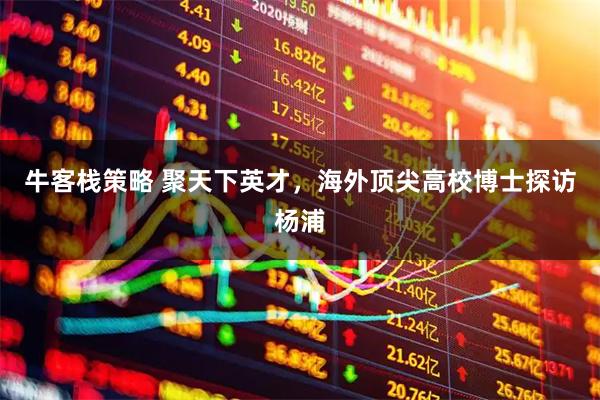 牛客栈策略 聚天下英才，海外顶尖高校博士探访杨浦