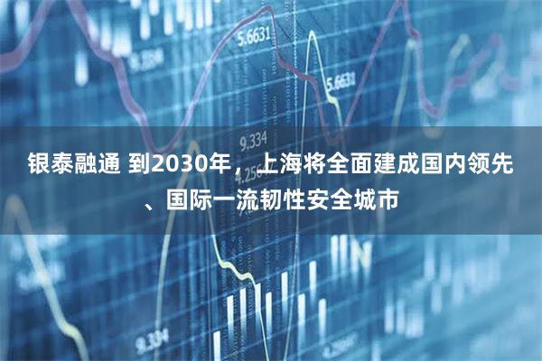 银泰融通 到2030年，上海将全面建成国内领先、国际一流韧性安全城市